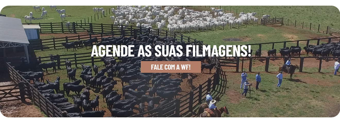 Agende sua filmagem