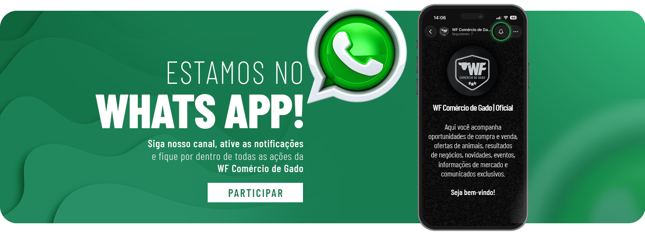 Canal de Whatsapp WF